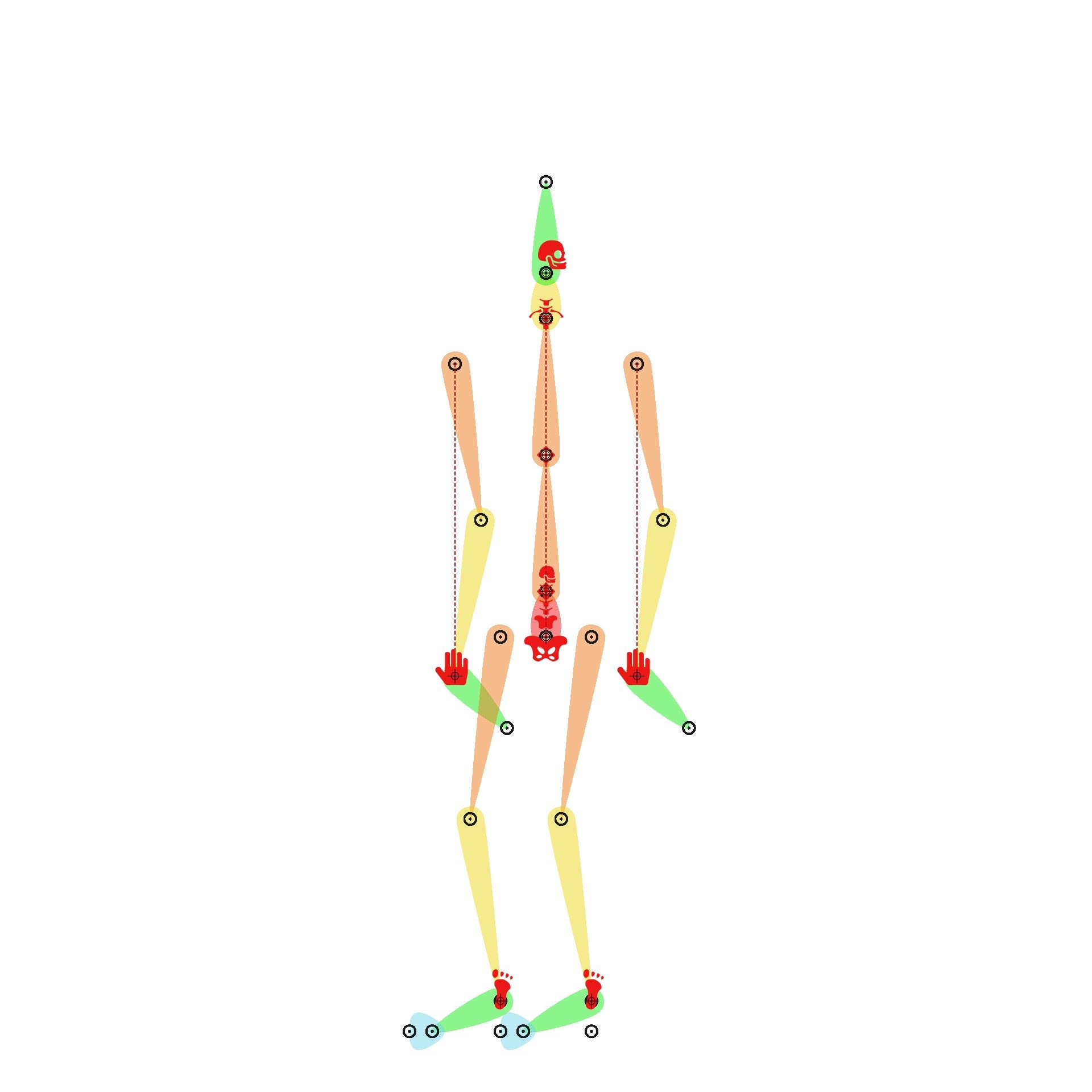 13 - Rig Squelette