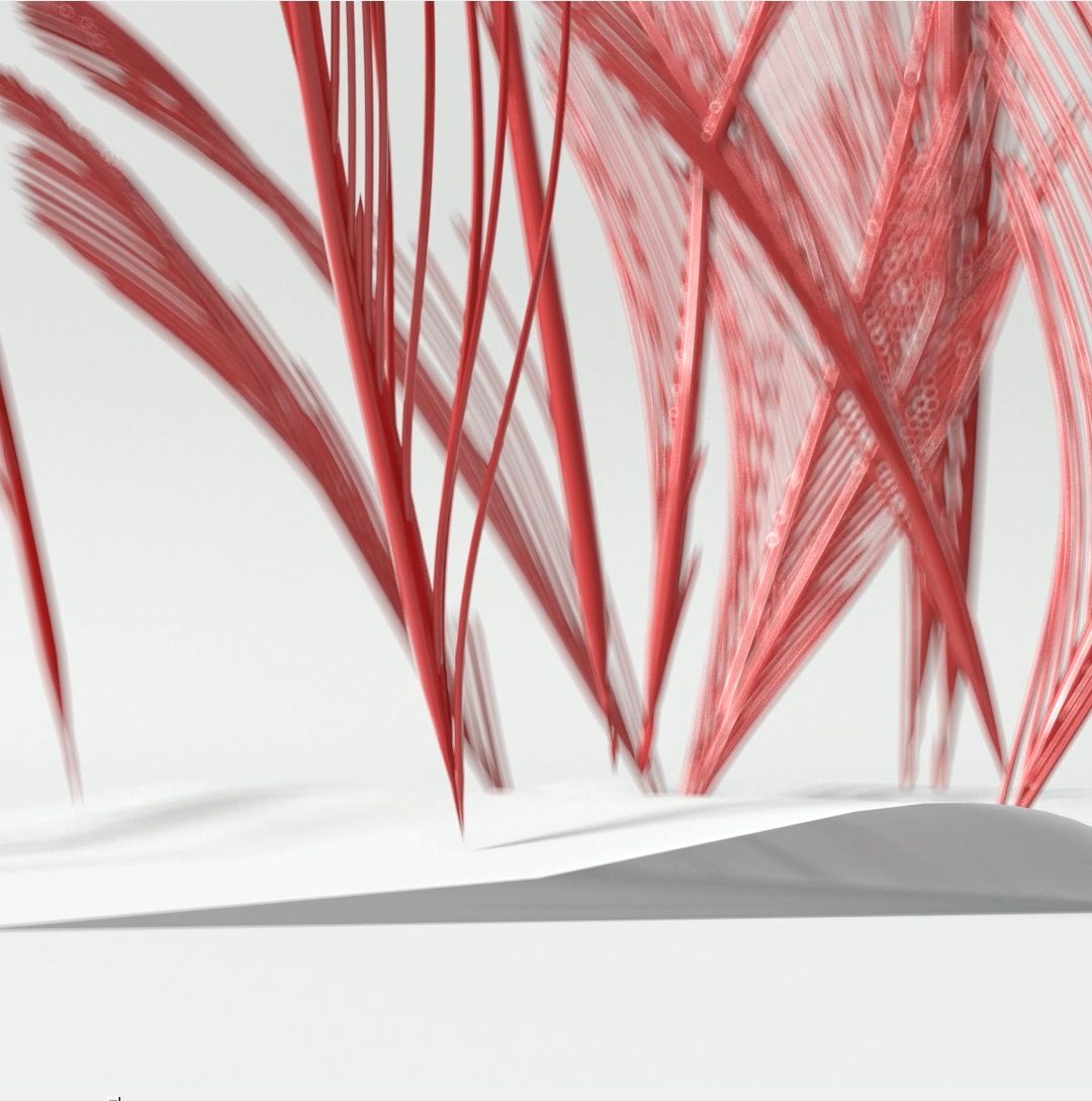 FDW_Squared001